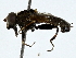  ( - BIOUG91351-A07)  @11 [ ] CreativeCommons - Attribution (2022) CBG Photography Group Centre for Biodiversity Genomics