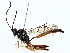  ( - BIOUG91352-B07)  @11 [ ] CreativeCommons - Attribution (2022) CBG Photography Group Centre for Biodiversity Genomics