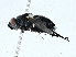  ( - BIOUG99520-H05)  @11 [ ] CreativeCommons - Attribution (2023) CBG Photography Group Centre for Biodiversity Genomics