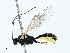  ( - BIOUG99522-E11)  @11 [ ] CreativeCommons - Attribution (2023) CBG Photography Group Centre for Biodiversity Genomics