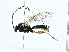  ( - BIOUG99522-F07)  @11 [ ] CreativeCommons - Attribution (2023) CBG Photography Group Centre for Biodiversity Genomics