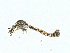  ( - BIOUG99522-H04)  @11 [ ] CreativeCommons - Attribution (2023) CBG Photography Group Centre for Biodiversity Genomics