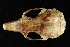  ( - HLC-16292)  @12 [ ] CreativeCommons - Attribution (2012) CBG Photography Group Centre for Biodiversity Genomics