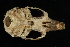  ( - HLC-16292)  @12 [ ] CreativeCommons - Attribution (2012) CBG Photography Group Centre for Biodiversity Genomics