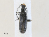  ( - CBG-A28412-E01)  @11 [ ] CreativeCommons - Attribution Share - Alike (2024) CBG Photography Group Centre for Biodiversity Genomics