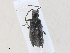  ( - CBG-A28412-E02)  @11 [ ] CreativeCommons - Attribution Share - Alike (2024) CBG Photography Group Centre for Biodiversity Genomics