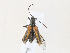  ( - CBG-A30022-E03)  @11 [ ] CreativeCommons - Attribution Share - Alike (2024) CBG Photography Group Centre for Biodiversity Genomics