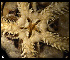  ( - ACAP071)  @12 [ ] Unspecified (default): All Rights Reserved  Unspecified Unspecified