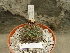  ( - GE02385)  @11 [ ] Copyright  Salvador Arias Unspecified