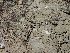  ( - GE02476)  @11 [ ] Copyright  Salvador Arias Unspecified