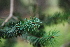  ( - GE02361)  @11 [ ] Copyright (2009) David Gernandt Unspecified
