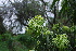  ( - GE02364)  @11 [ ] Copyright (2009) David Gernandt Unspecified