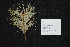  ( - GE02221)  @11 [ ] Copyright (2009) David Gernandt Unspecified