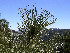  ( - GE02208)  @11 [ ] Copyright (2009) David Gernandt Unspecified