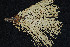  ( - GE02208)  @11 [ ] Copyright (2009) David Gernandt Unspecified