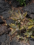  ( - GE02403)  @11 [ ] Copyright (2010) J. Reyes 2010 Unspecified