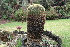  ( - GE02263.6)  @11 [ ] Copyright  Salvador Arias Unspecified