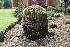  ( - GE02250.6)  @11 [ ] Copyright  Salvador Arias Unspecified