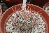  ( - GE0214)  @11 [ ] Copyright  Salvador Arias Unspecified