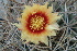  ( - GE0216)  @11 [ ] Copyright  Salvador Arias Unspecified