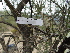  ( - GE02450)  @11 [ ] Copyright  Salvador Arias Unspecified