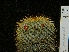  ( - GE0218)  @11 [ ] Copyright  Salvador Arias Unspecified