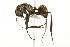  ( - 08COSTA-1191)  @14 [ ] Unspecified (default): All Rights Reserved  Unspecified Unspecified