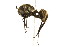  ( - 08COSTA-1228)  @14 [ ] Unspecified (default): All Rights Reserved  Unspecified Unspecified