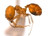  ( - 08COSTA-1238)  @13 [ ] Unspecified (default): All Rights Reserved  Unspecified Unspecified