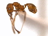  ( - 08COSTA-1274)  @13 [ ] Unspecified (default): All Rights Reserved  Unspecified Unspecified