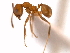  ( - 08COSTA-1292)  @13 [ ] Unspecified (default): All Rights Reserved  Unspecified Unspecified
