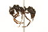  ( - 08COSTA-1360)  @15 [ ] Unspecified (default): All Rights Reserved  Unspecified Unspecified