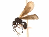  ( - 08COSTA-1453)  @14 [ ] Unspecified (default): All Rights Reserved  Unspecified Unspecified