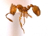  ( - 08COSTA-1463)  @12 [ ] Unspecified (default): All Rights Reserved  Unspecified Unspecified