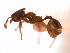  ( - 08COSTA-1478)  @13 [ ] Unspecified (default): All Rights Reserved  Unspecified Unspecified
