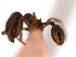  ( - 08COSTA-1482)  @12 [ ] Unspecified (default): All Rights Reserved  Unspecified Unspecified