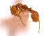  ( - 08COSTA-1483)  @14 [ ] Unspecified (default): All Rights Reserved  Unspecified Unspecified