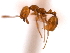 ( - 08COSTA-1503)  @14 [ ] Unspecified (default): All Rights Reserved  Unspecified Unspecified