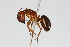  ( - 08COSTA-1540)  @14 [ ] Unspecified (default): All Rights Reserved  Unspecified Unspecified