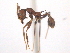  ( - 08COSTA-1556)  @13 [ ] Unspecified (default): All Rights Reserved  Unspecified Unspecified