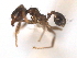  ( - 08COSTA-1597)  @13 [ ] Unspecified (default): All Rights Reserved  Unspecified Unspecified