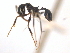  ( - 08COSTA-1661)  @13 [ ] Unspecified (default): All Rights Reserved  Unspecified Unspecified