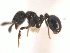  ( - 08COSTA-1662)  @13 [ ] Unspecified (default): All Rights Reserved  Unspecified Unspecified
