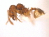  ( - 08COSTA-1690)  @14 [ ] Unspecified (default): All Rights Reserved  Unspecified Unspecified