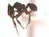  ( - 08COSTA-1787)  @13 [ ] Unspecified (default): All Rights Reserved  Unspecified Unspecified