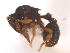  ( - 08COSTA-1794)  @12 [ ] Unspecified (default): All Rights Reserved  Unspecified Unspecified