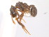  ( - 08COSTA-1881)  @13 [ ] Unspecified (default): All Rights Reserved  Unspecified Unspecified
