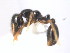  ( - 08COSTA-1923)  @12 [ ] Unspecified (default): All Rights Reserved  Unspecified Unspecified