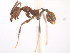  ( - 08COSTA-1926)  @12 [ ] Unspecified (default): All Rights Reserved  Unspecified Unspecified