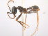 ( - 08COSTA-1931)  @12 [ ] Unspecified (default): All Rights Reserved  Unspecified Unspecified